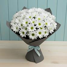 Букет цветов из:  Хризантемы #REPLACE_PRED# Нижняя Тавда