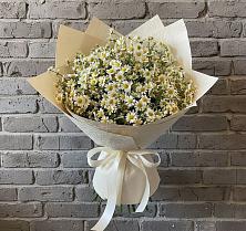 Букет цветов из:  Ромашки в Нижняя Тавда