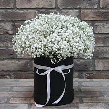 Цветочная композиция из Гипсофила в шляпной коробке в Нижняя Тавда