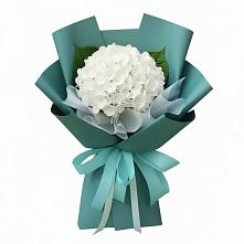 Букет цветов из:  Гортензия #REPLACE_PRED# Нижняя Тавда